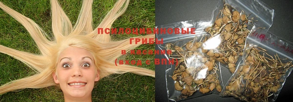 MESCALINE Вязьма